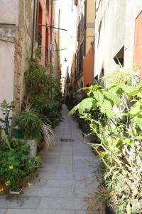 Open Suite Cobalto img97