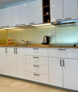 LAUS III , brand new lovely one-bedroom apartment