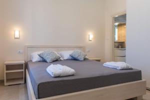 Spacious Villa with Private Pool in Dubrovnik