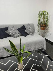 Casa Alternativa 282