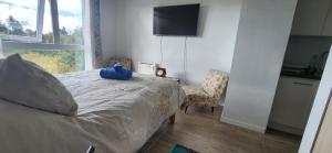 Departamento centro de Valdivia, Los Laureles 270, Isla Teja