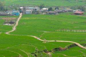 Truong Nhan Tram Tau Homestay