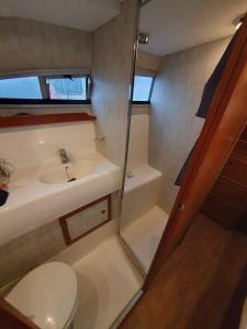 Bateaux-hotels Magnifique bateau au coeur du Nivernais a l'etang de BAYE : photos des chambres