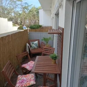 Blue Dream Slavia - 维塞乌卡