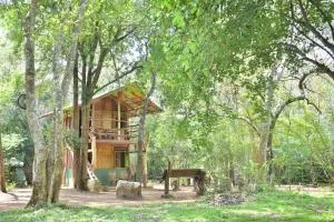 Wilpattu Jungle Resort - Etpantiya