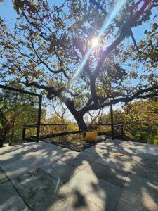 Grasshopper Cabañas