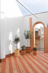 MonKeys Apartments Pureza House