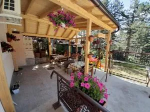 Apartmani Jela Tara - Šanik