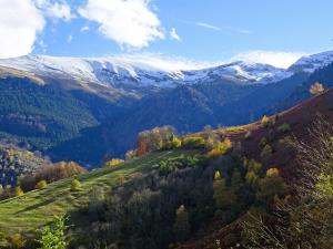 Maisons de vacances Les Granges de Blans : photos des chambres