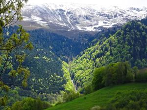 Maisons de vacances Les Granges de Blans : photos des chambres