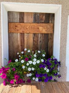 Waldruhe Appartements