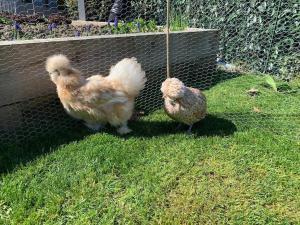 Magnifique studio au bord du lac du Bourget à proximité dAix-les-Bains