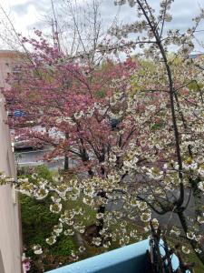 Appartements Balcon dans les arbres : photos des chambres