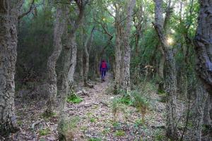 Villas Wanakaset Pyrenees Orientales : photos des chambres