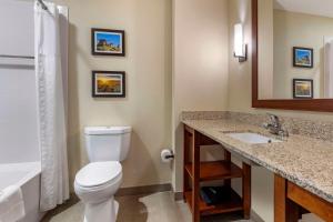 Queen Suite with Two Queen Beds and Sofa Bed - Non-Smoking room in Comfort Inn & Suites