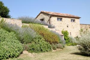 Torricella