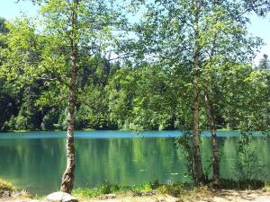 Maisons de vacances Paillehouse Vosges : photos des chambres