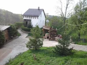 Cabana din Piscul lupului - Runcu