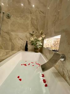 Luxury 2 al duomo di parma