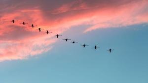 The Cube Best Vacation Ever img28