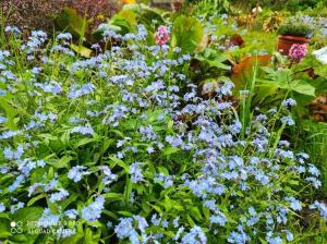 Komfortowy dom wakacyjny dla kilku rodzin