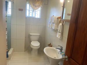 POINCIANA APARTMENT ONE 257 POINCIANA DRIVE GREEN WOOD MONTEGO BAY JAMAICA