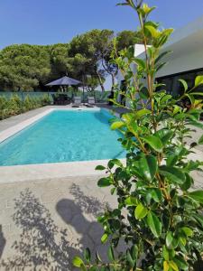Valverde 2 Villa, Vilamoura, Algarve, only 5 minutes from Marina, Golf and Beach
