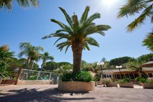 Tentes de luxe Glamping Frejus : photos des chambres