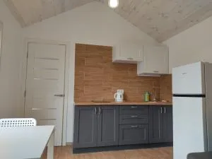 house for relaxation - Horenychi