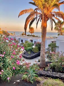 Vv - Apartamento Tranquilo Primera Línea