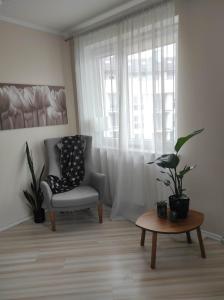 Apartament z 3 sypialniami - parking bezpłatny