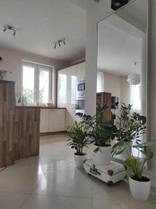 Apartament z 3 sypialniami - parking bezpłatny