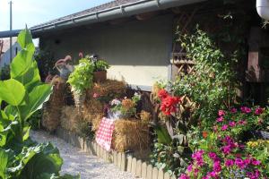 Maisons de vacances Maisonnette : photos des chambres