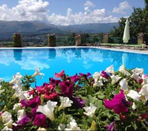 Il Querceto Delle Marine