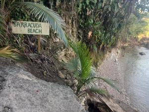 treehouse above the beach