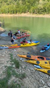 PENSIUNEA IZVORUL BUCURIEI