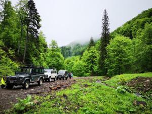 PENSIUNEA IZVORUL BUCURIEI