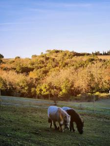 Chalets Domaine Des Cigales : photos des chambres