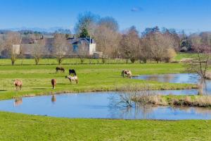 Maisons de vacances Moulin Langonney by Melrose : photos des chambres