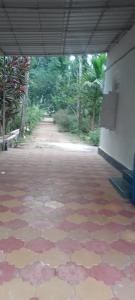 Arecapalm, Murud