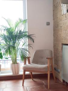 Apartament Nefretete