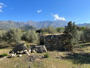 Hotels Domaine du Reginu : photos des chambres