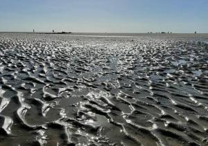 Cottage 213 in Sunparks Oostduinkerke with free parking and garden