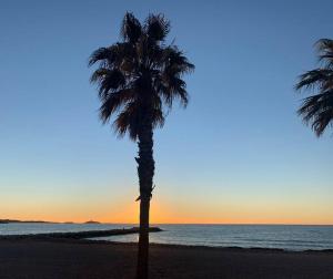 Appartements Coup de coeur a Sanary sur Mer : photos des chambres