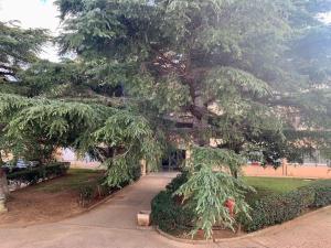 Appartements Coup de coeur a Sanary sur Mer : photos des chambres