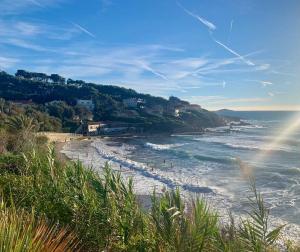 Appartements Coup de coeur a Sanary sur Mer : photos des chambres