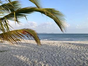 Amazing Beachfront Villa - Palm House