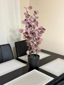 Moderns, gaišs, plašs! A++ 3 istabu dzīvoklis