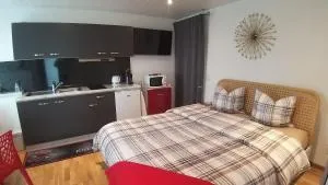 Beau studio avec terrasse et vue EXCLUSIVEMENT POUR NON FUMEURS - Lutry