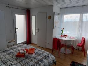 Beau studio avec terrasse et vue POUR NON FUMEURS